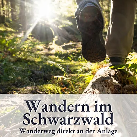 Relax-apartment 107 Mit Pool, Massagesessel, Kueche Schonach im Schwarzwald